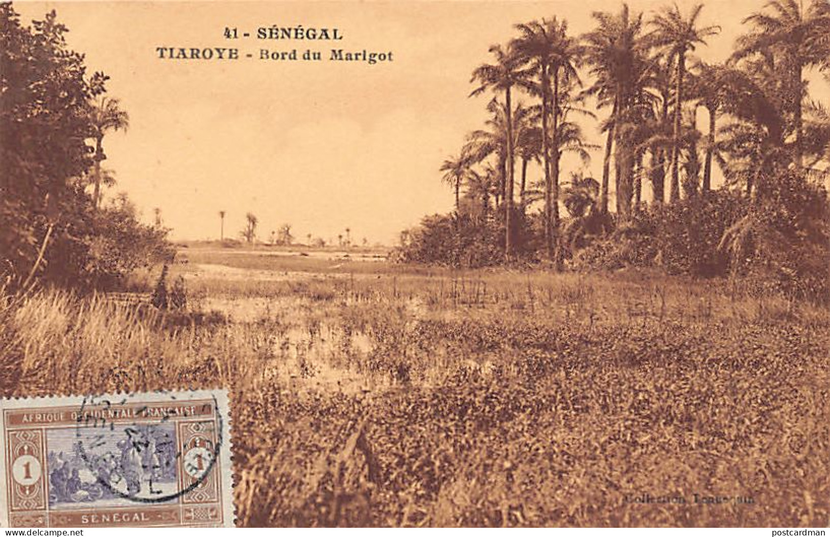 Sénégal - TIAROYE - Bord Du Marigot - Ed. Tennequin 41 - Sénégal