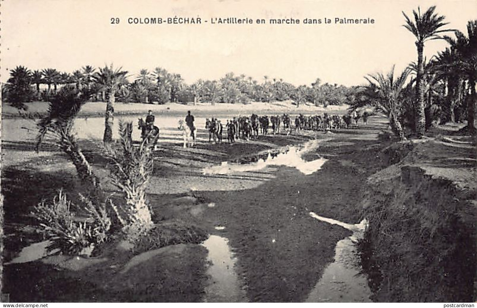 Algérie - COLOMB BÉCHAR - L'artillerie En Marche Dans La Palmeraie - Ed. Ch. Pastor 29 - Bechar (Colomb Béchar)