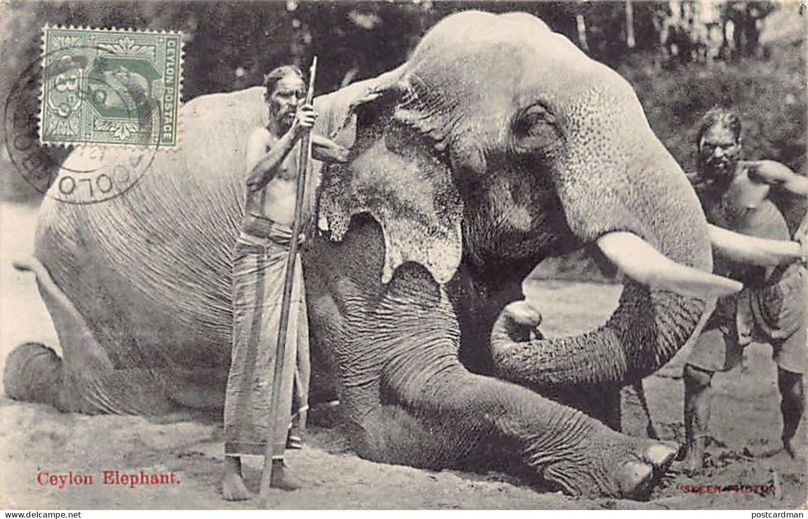 Sri Lanka - Ceylon Elephants - Publ. Skeen-Photo  - Sri Lanka (Ceylon)