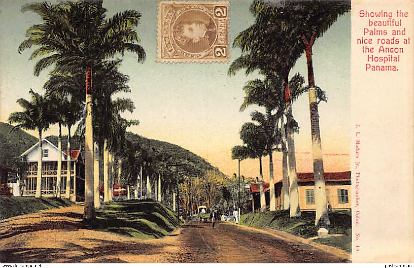 PANAMA CANAL - Showing The Beautiful Palms And Nice Roads At The Ancon Hospital - Publ. I. L. Maduro Jr. 40 - Panama