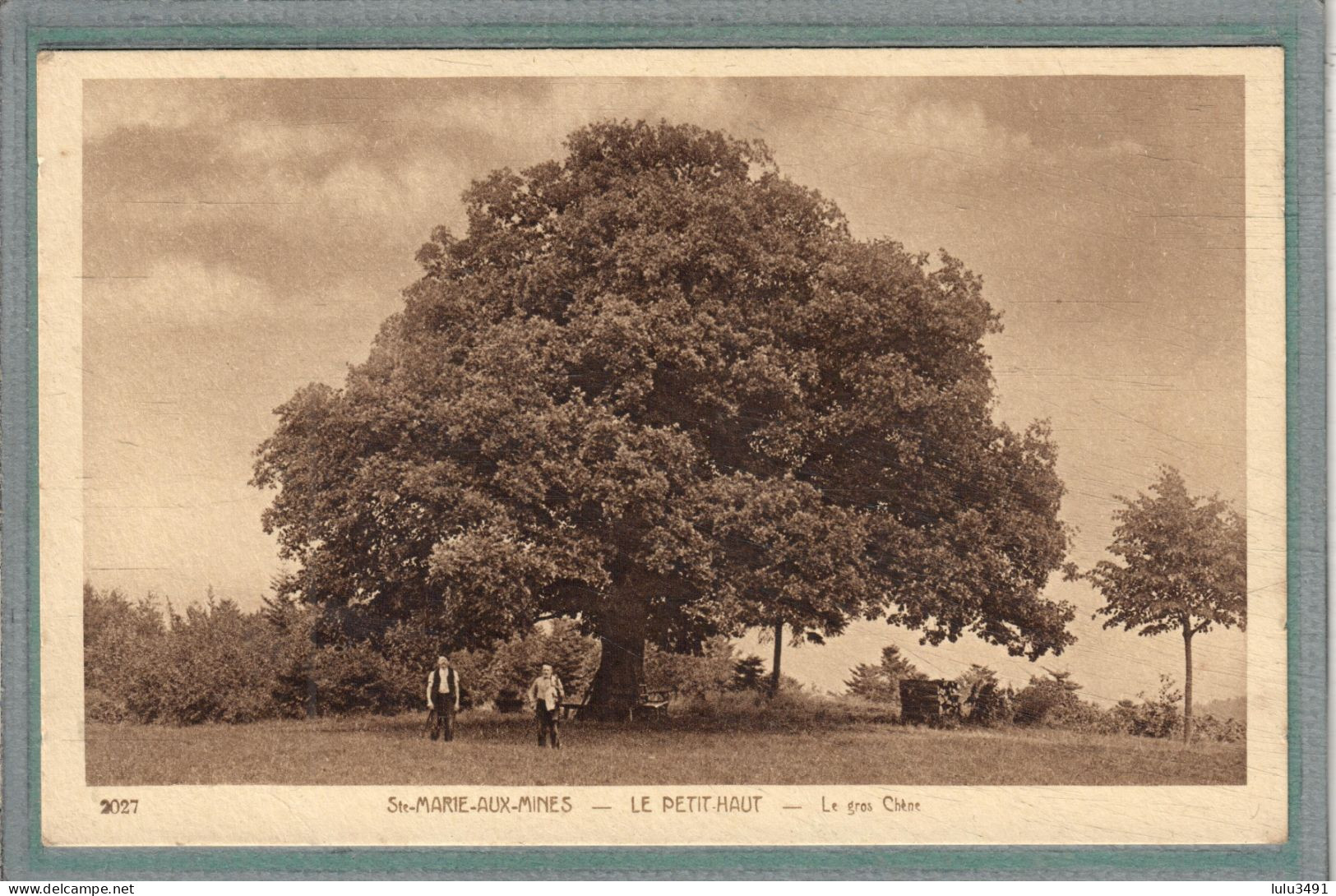 CPA (68) SAINTE-MARIE-aux-MINES - Le PETIT-HAUT - Thème: ARBRE - Aspect Du Gros Chêne En 1930 - Sainte-Marie-aux-Mines