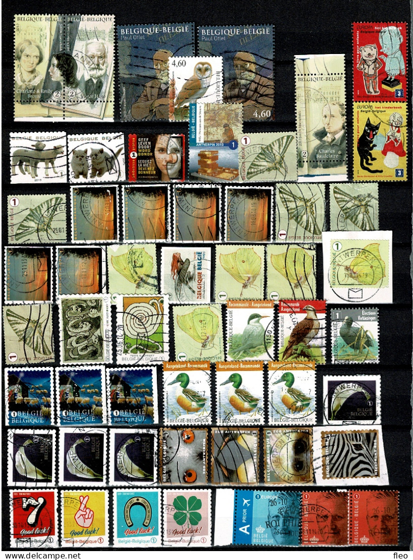 2009/2010 COLLECTION° BELG.ZEGELS/TIMBRES - Verzamelingen