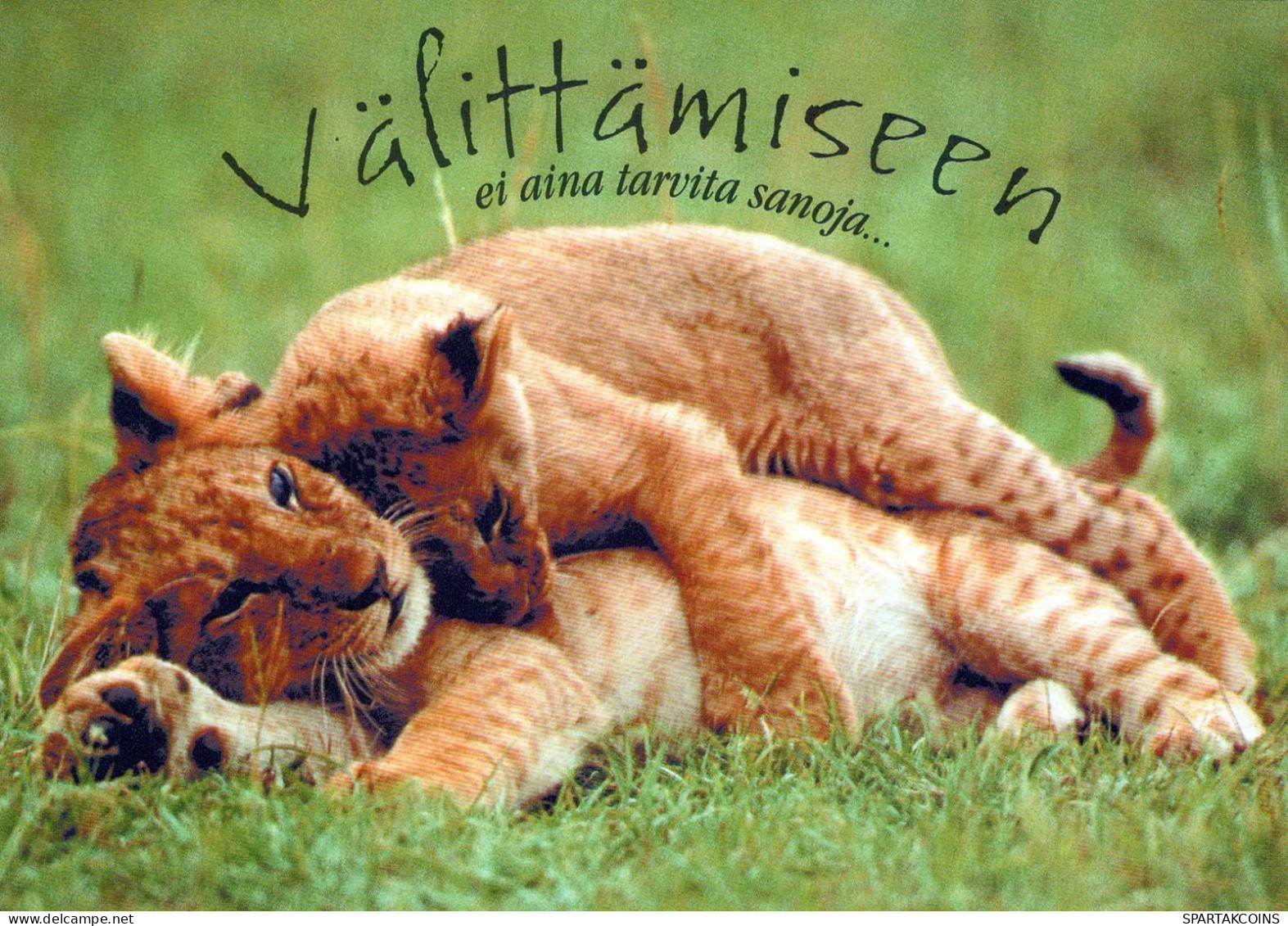 LION Animals Vintage Postcard CPSM #PBS080.GB - Leeuwen