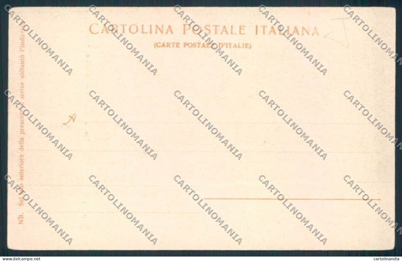 Rovigo Città Cartolina MV4819 - Rovigo