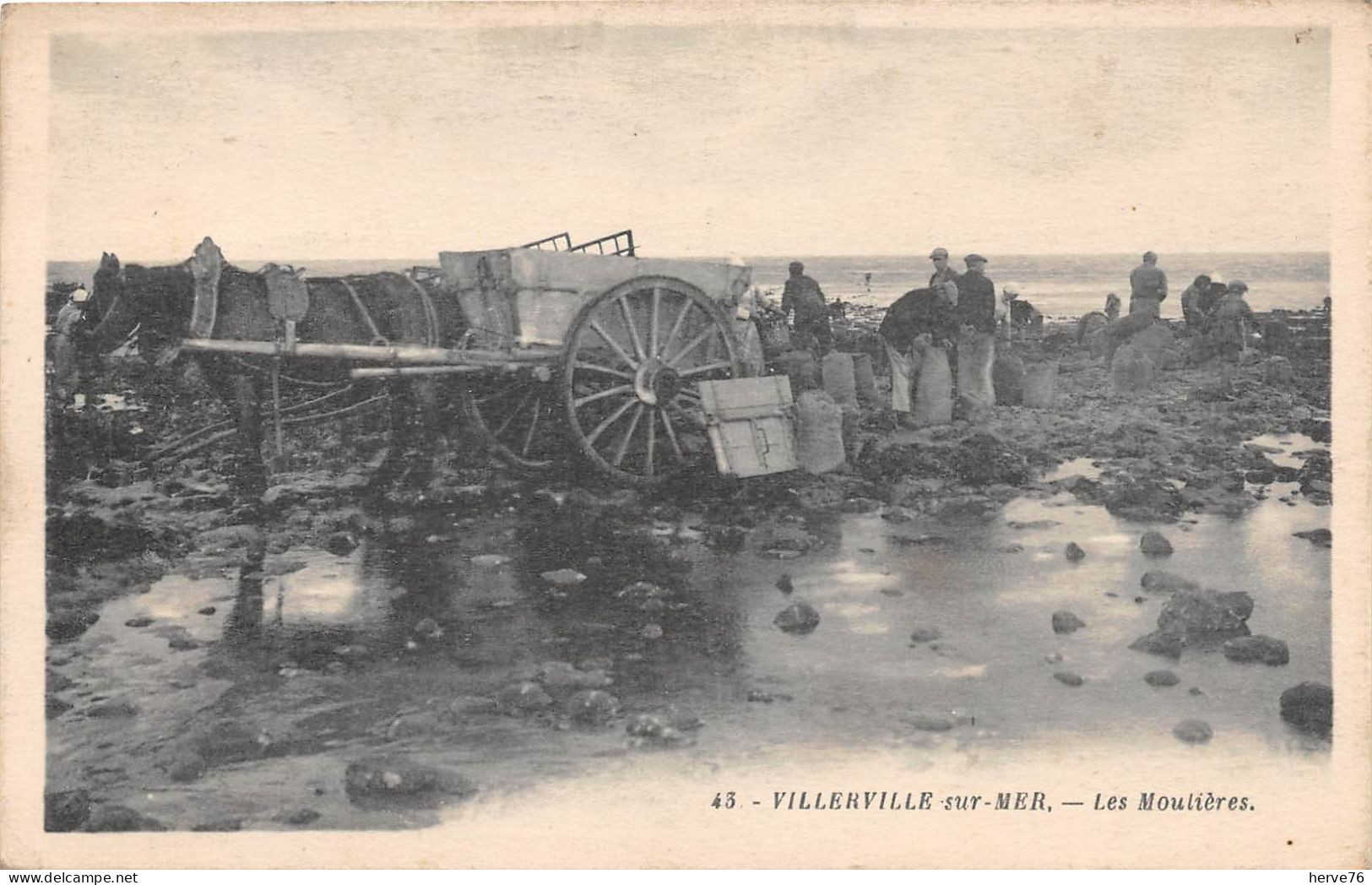 VILLERVILLE SUR MER - Les Moulières - Attelage - Villerville