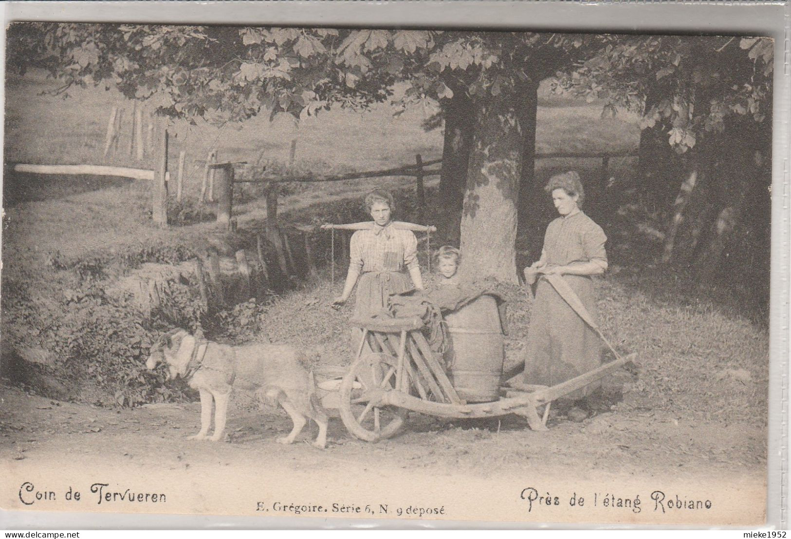 Coin De Tervueren , Près De L'étang Robiano ,( Attelage De Chien Tirant Une Brouette )  édit E Grégoire Série 6 N° 9 - Tervuren