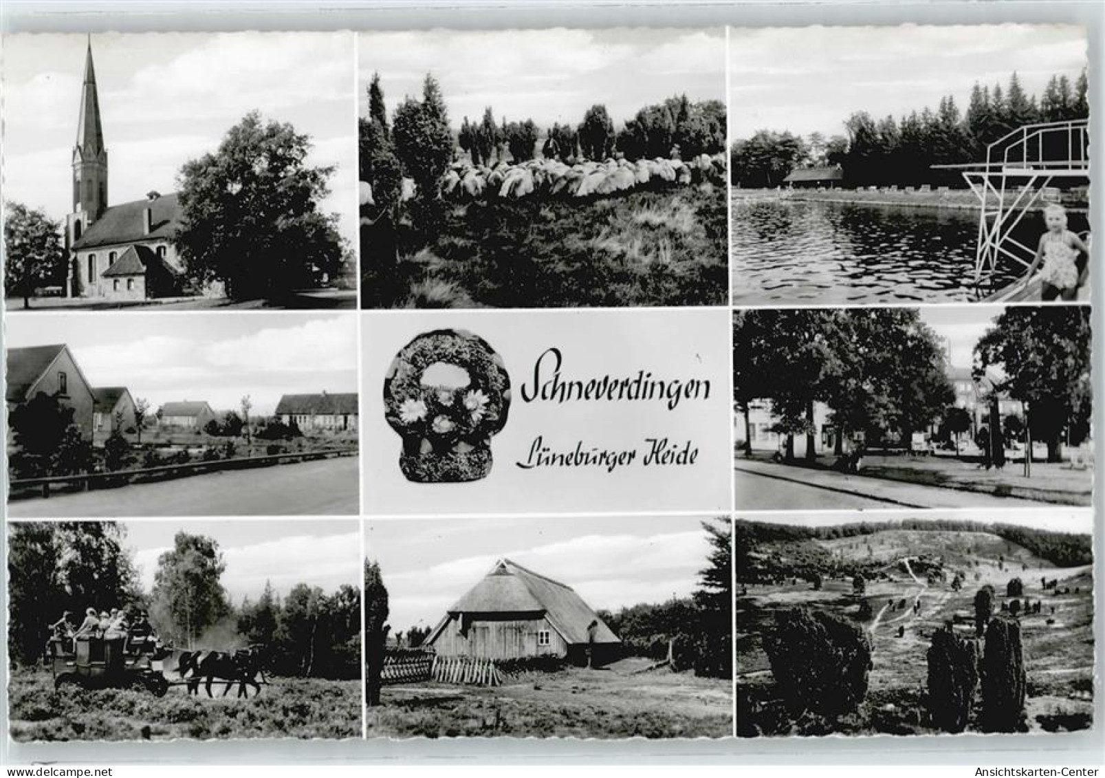 50416702 - Schneverdingen - Schneverdingen