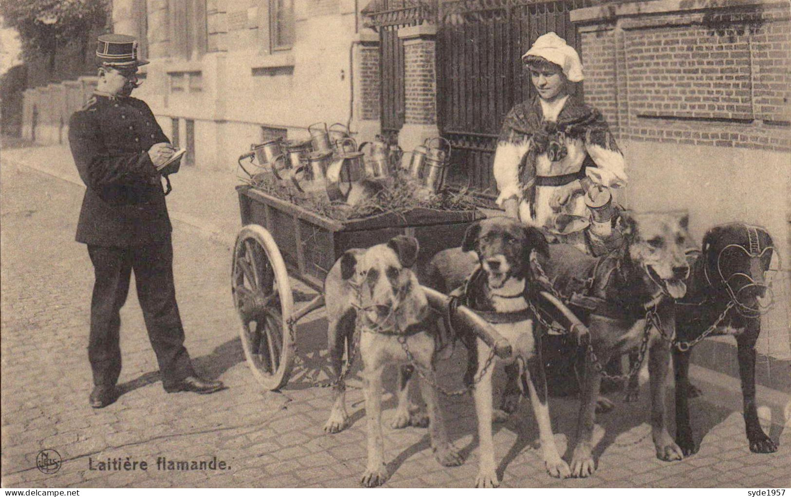 Laitiere Flamande - Attelage De 4 Chiens, La Laitiere Et Un Contractuel - Nels Série Laitière N°1 - Equipaggiamenti