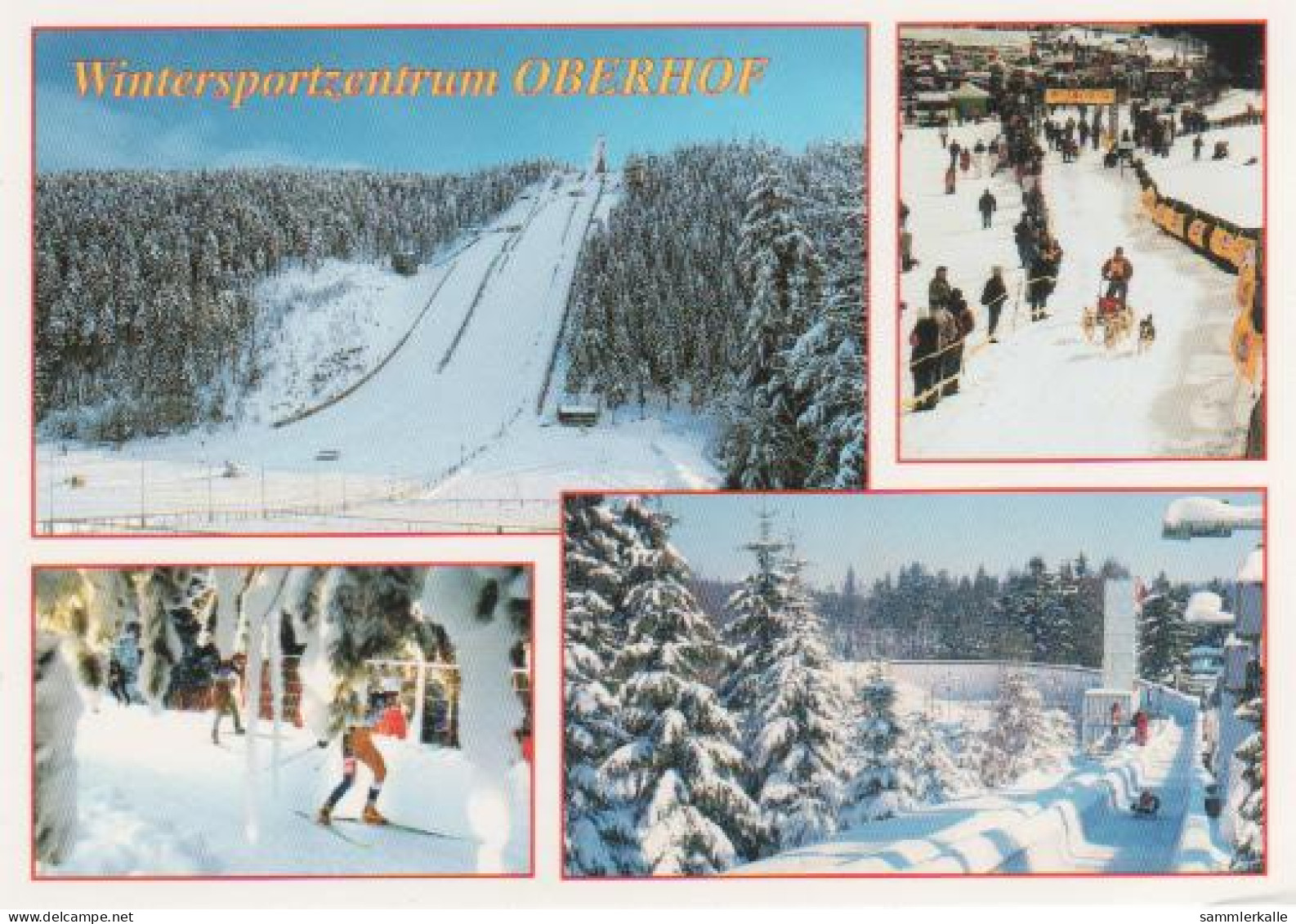 537 - Oberhof - Schanze (Rennsteig), Hans-Renner-Schanze, Hundeschlittenrennen Grenzadler, Biathlonstrecke - Oberhof