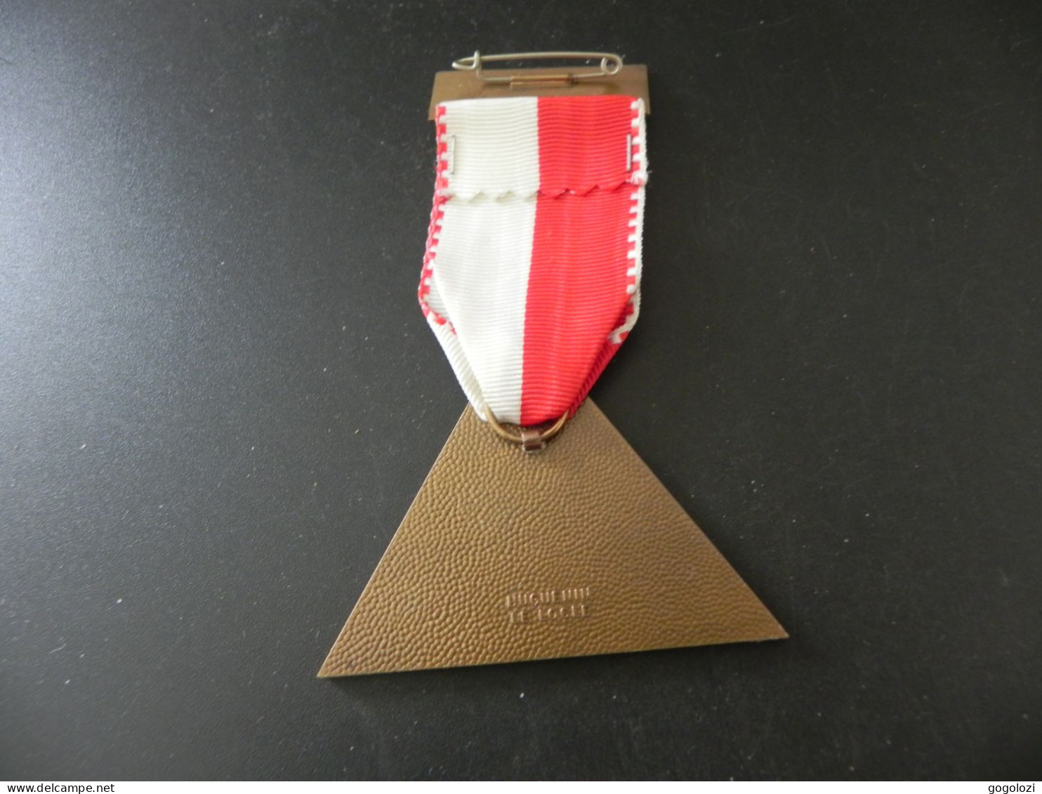 Shooting Medal - Medaille Schweiz Suisse Switzerland - Eidg. Schützenfest Luzern 1979 - Andere & Zonder Classificatie