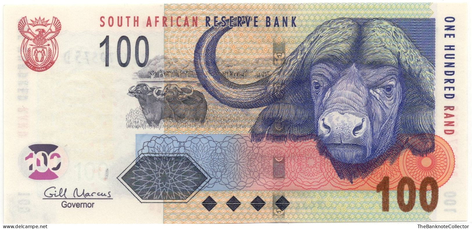 South Africa 100 Rands ND 2005 P-131 EF - Suráfrica