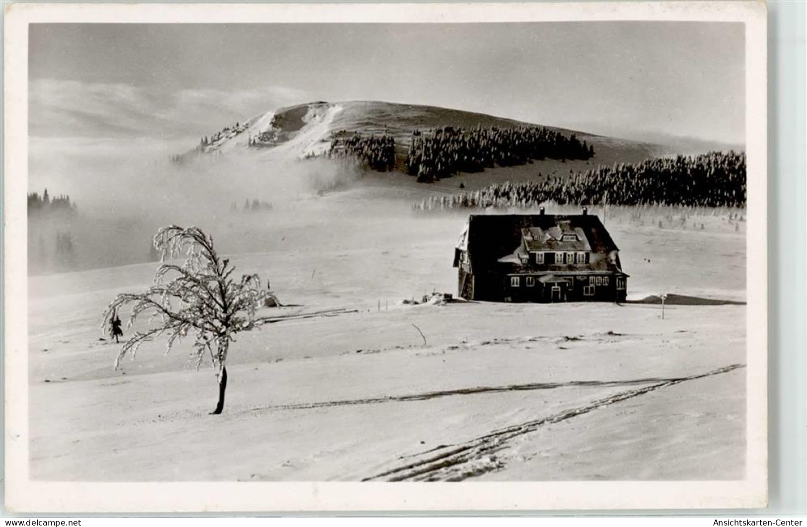 52249802 - Herzogenhorn , Schwarzwald - Feldberg