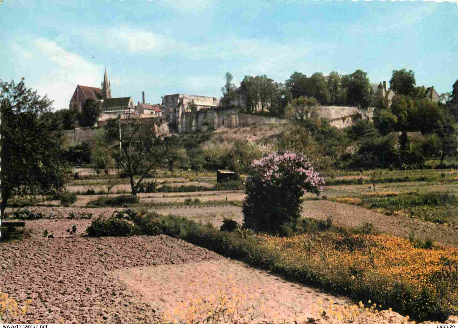 60 - Crépy En Valois - Les Remparts - Ruines De St Arnould - Carte Dentelée - CPM - Voir Scans Recto-Verso - Crepy En Valois