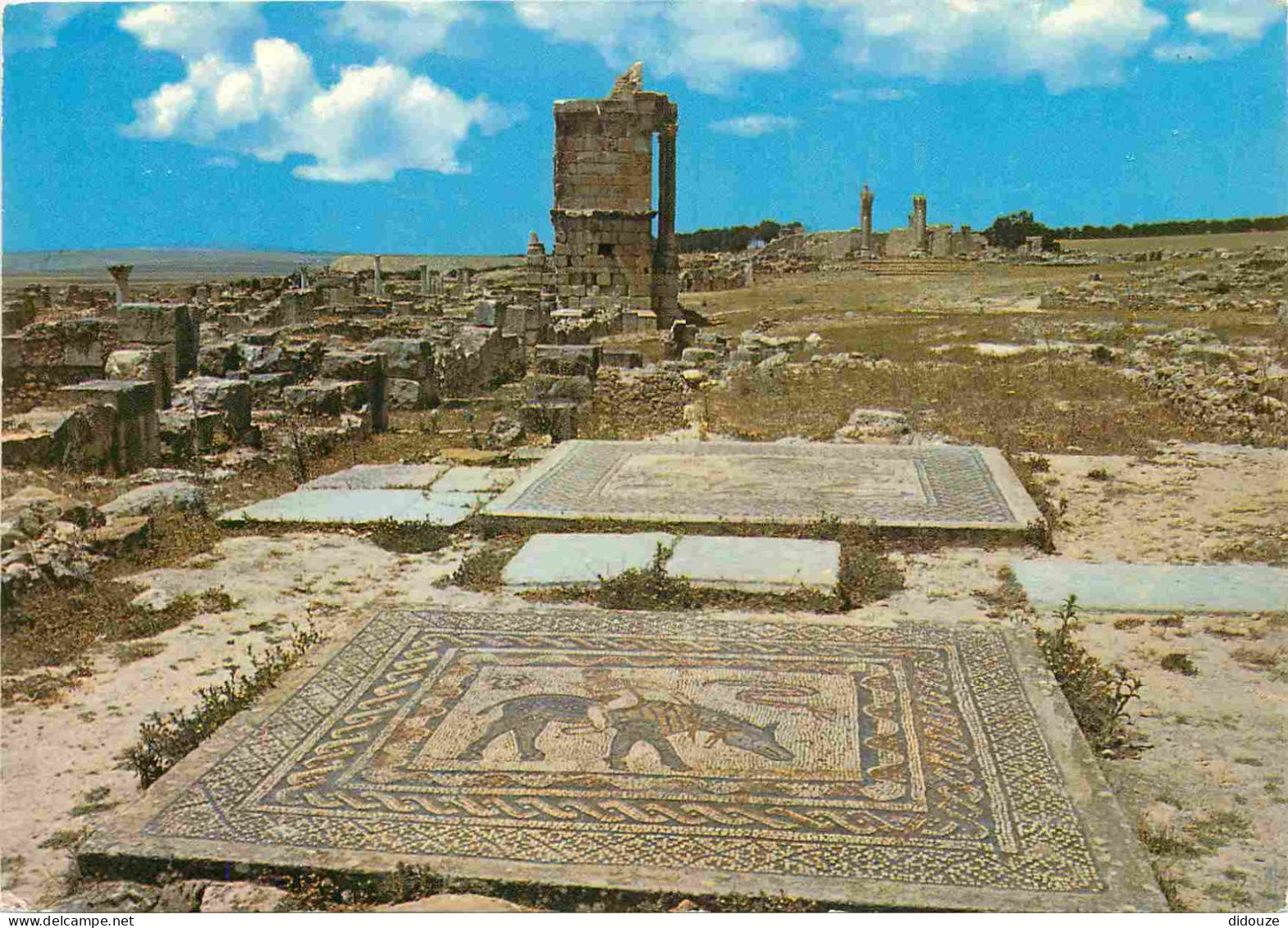 Maroc - Volubilis - Mosaïque De La Maison D'Orphée - Ruines Romaines - CPM - Carte Neuve - Voir Scans Recto-Verso - Other & Unclassified