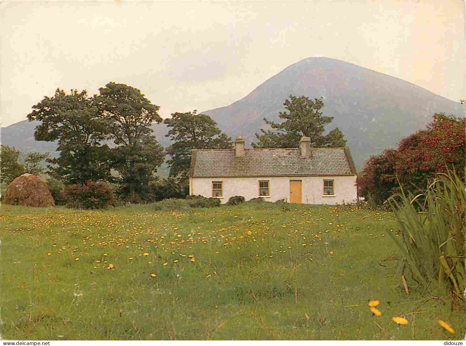 Irlande - Crough Patrick Mountain - Thatched Cottage - Real Ireland Card - CPM - Voir Scans Recto-Verso - Other & Unclassified