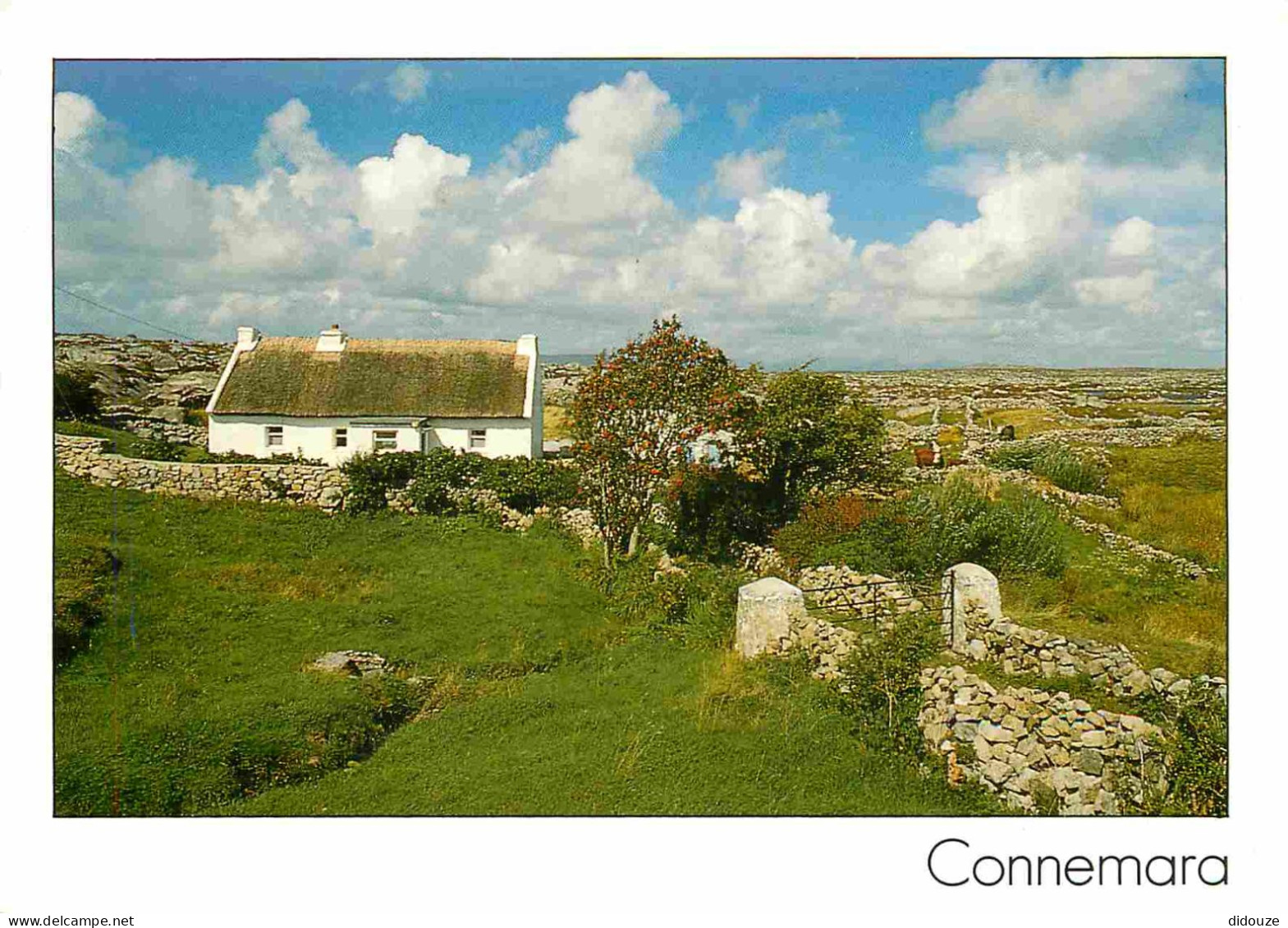 Irlande - Galway - Connemara - Thatched Cottage - CPM - Voir Scans Recto-Verso - Galway