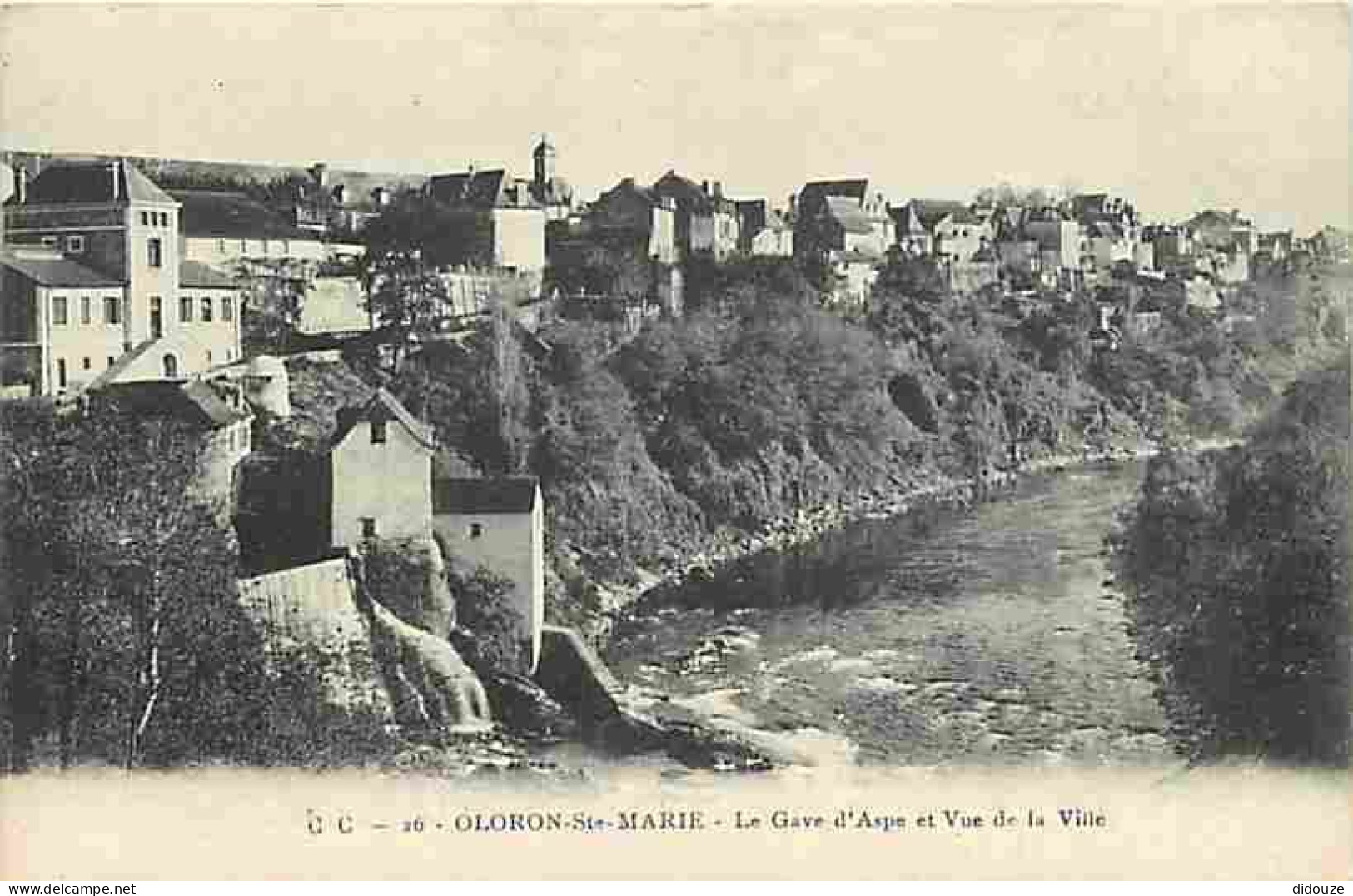 64 - Oloron Sainte Marie - Le Gave D'Aspe Et Vue De La Ville - CPA - Voir Scans Recto-Verso - Oloron Sainte Marie