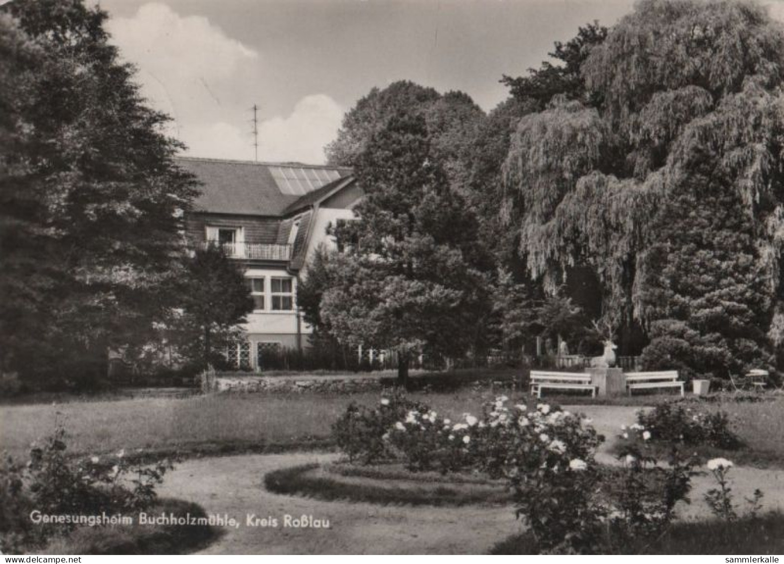 77517 - Rosslau - Genesungsheim Buchholzmühle - Ca. 1965 - Rosslau