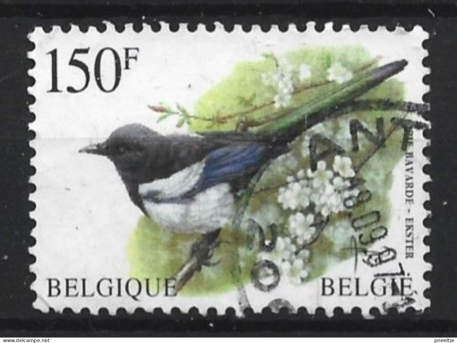 Belgie 1997 Bird OCB 2697 (0) - Oblitérés