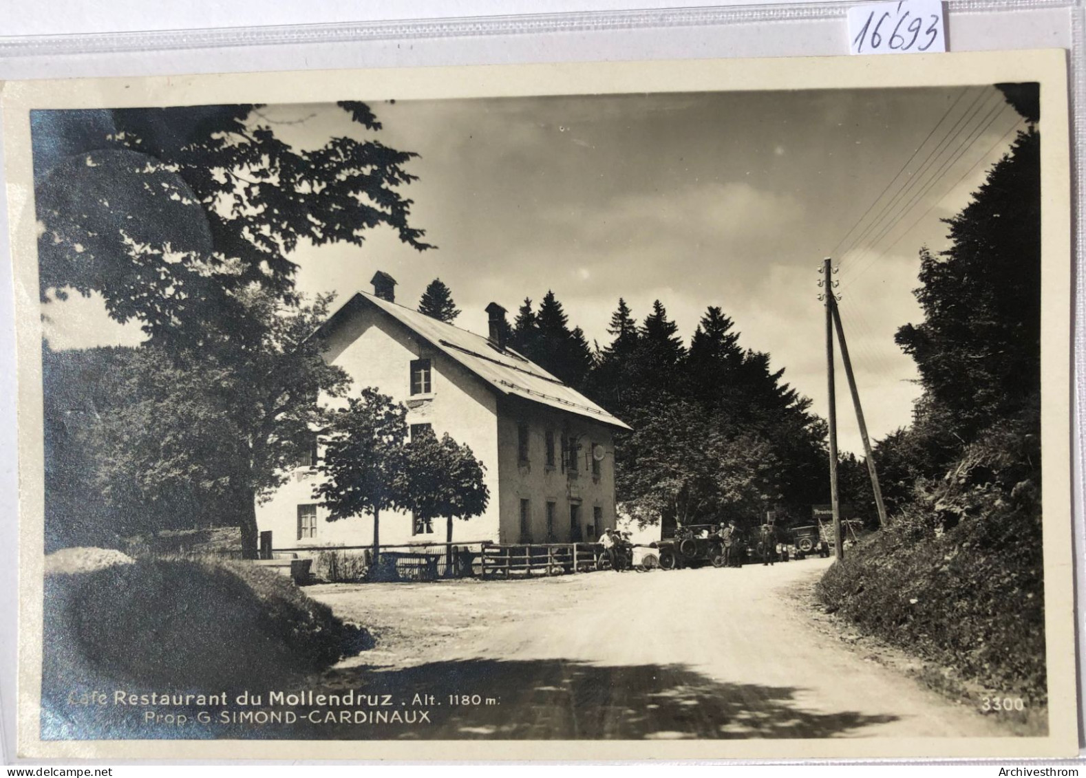 Café-Restaurant Du Mollendruz (1'180 M) Propr. G. Simond-Cardinaux : Arbre Encore Petit (16'693) - Vallorbe