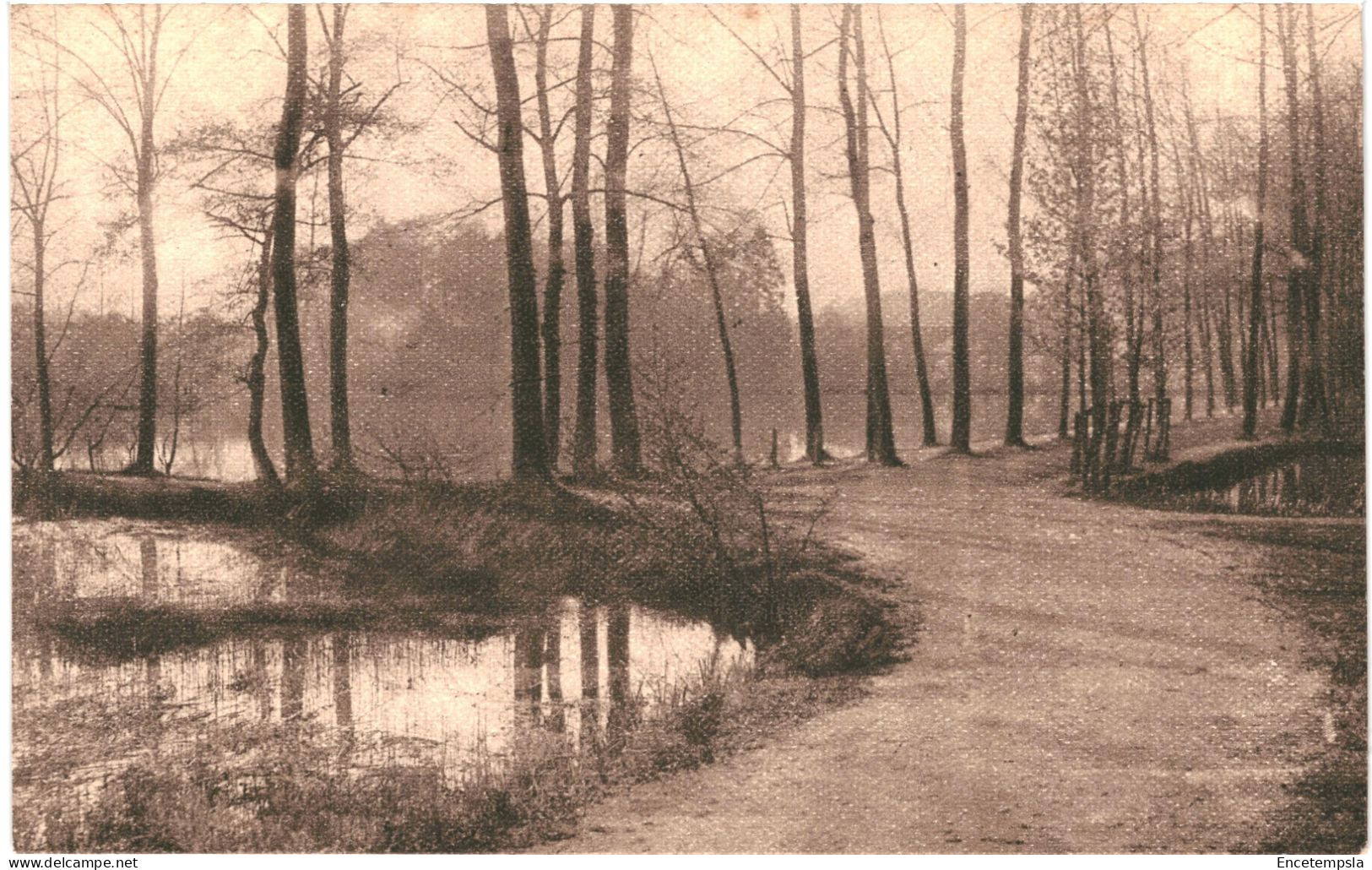 CPA Carte Postale Belgique  Bruxelles Etangs Du Rouge Cloître   VM79642 - Foreste, Parchi, Giardini