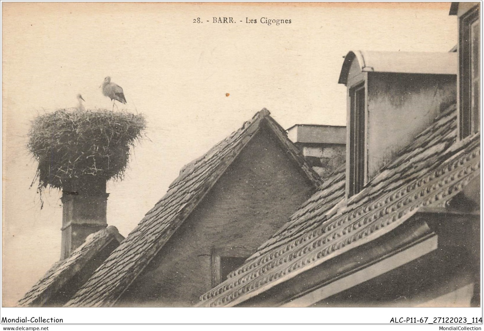 ALCP11-67-1088 - BARR - Les Cigognes - Barr