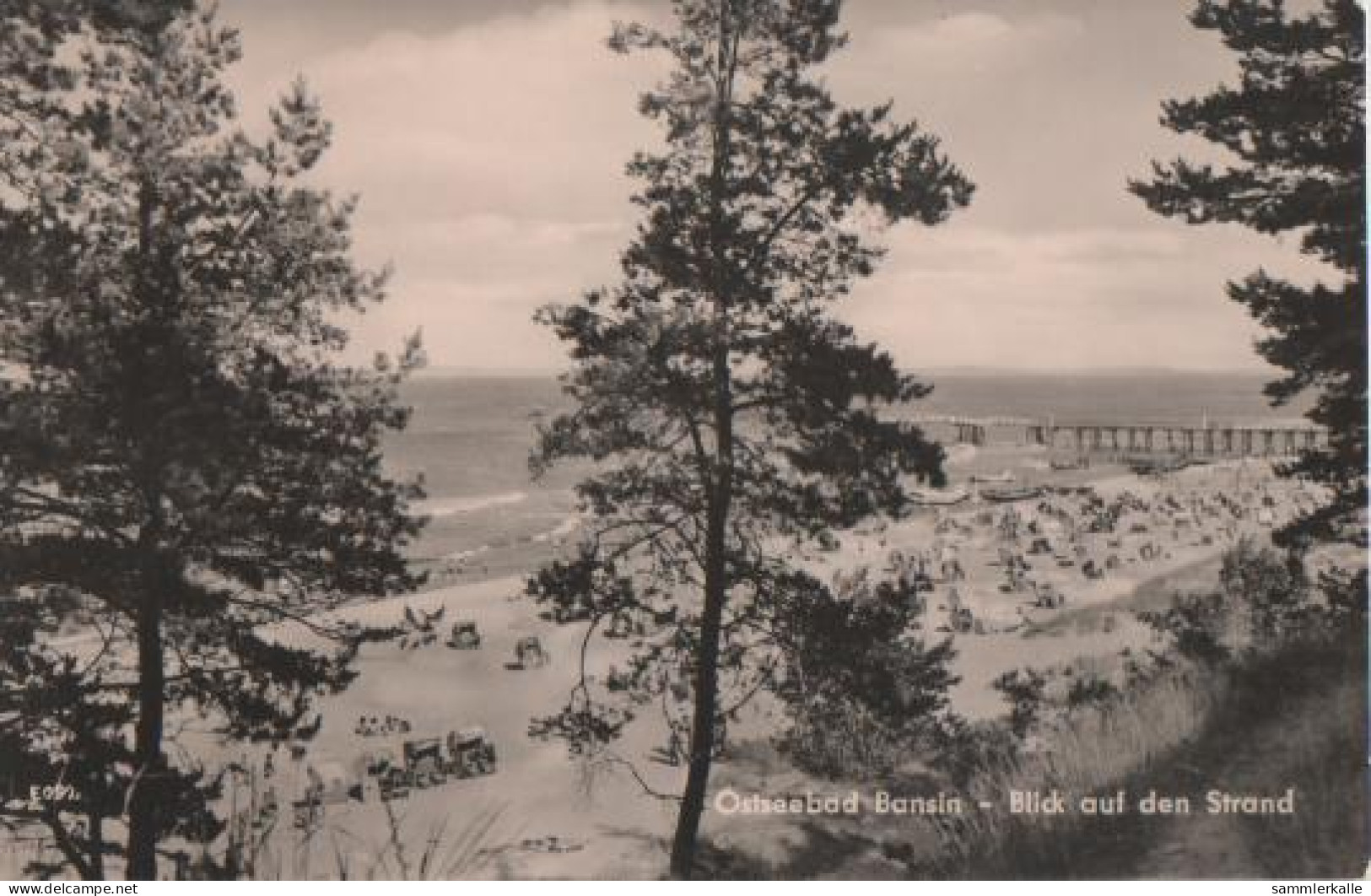 9902 - Bansin - Blick Auf Strand - Ca. 1965 - Greifswald