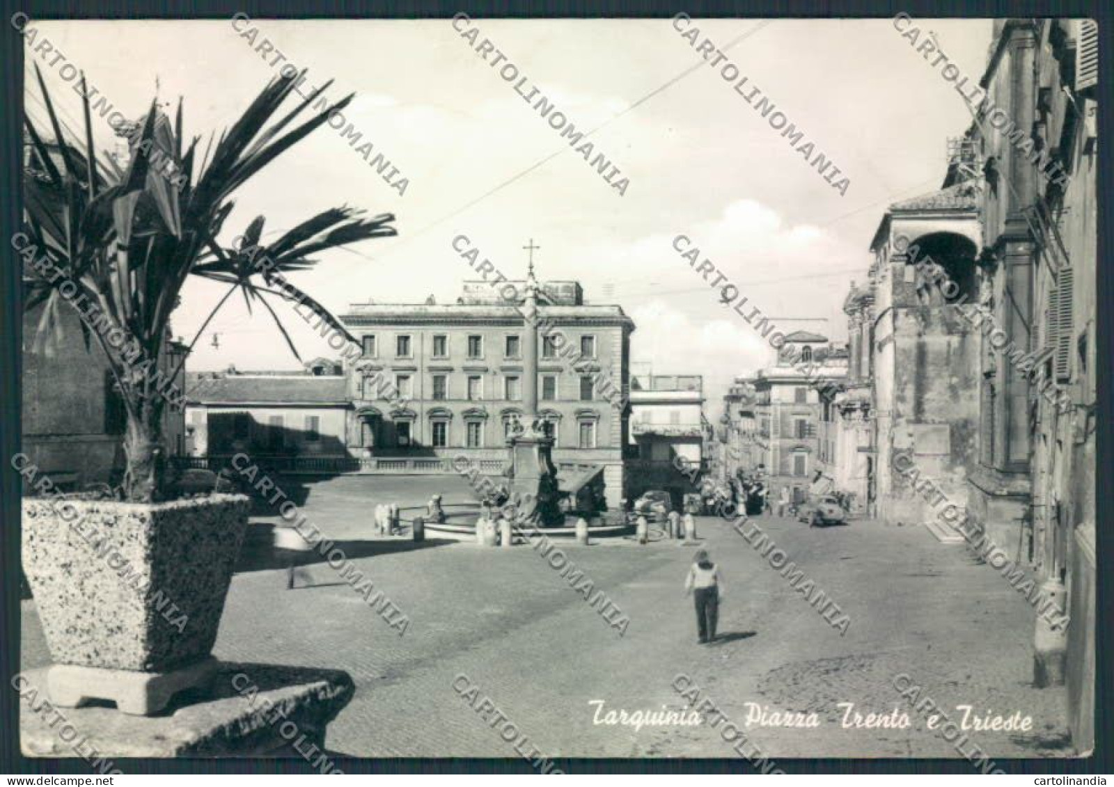 Viterbo Tarquinia PIEGA Foto FG Cartolina MV1615 - Viterbo