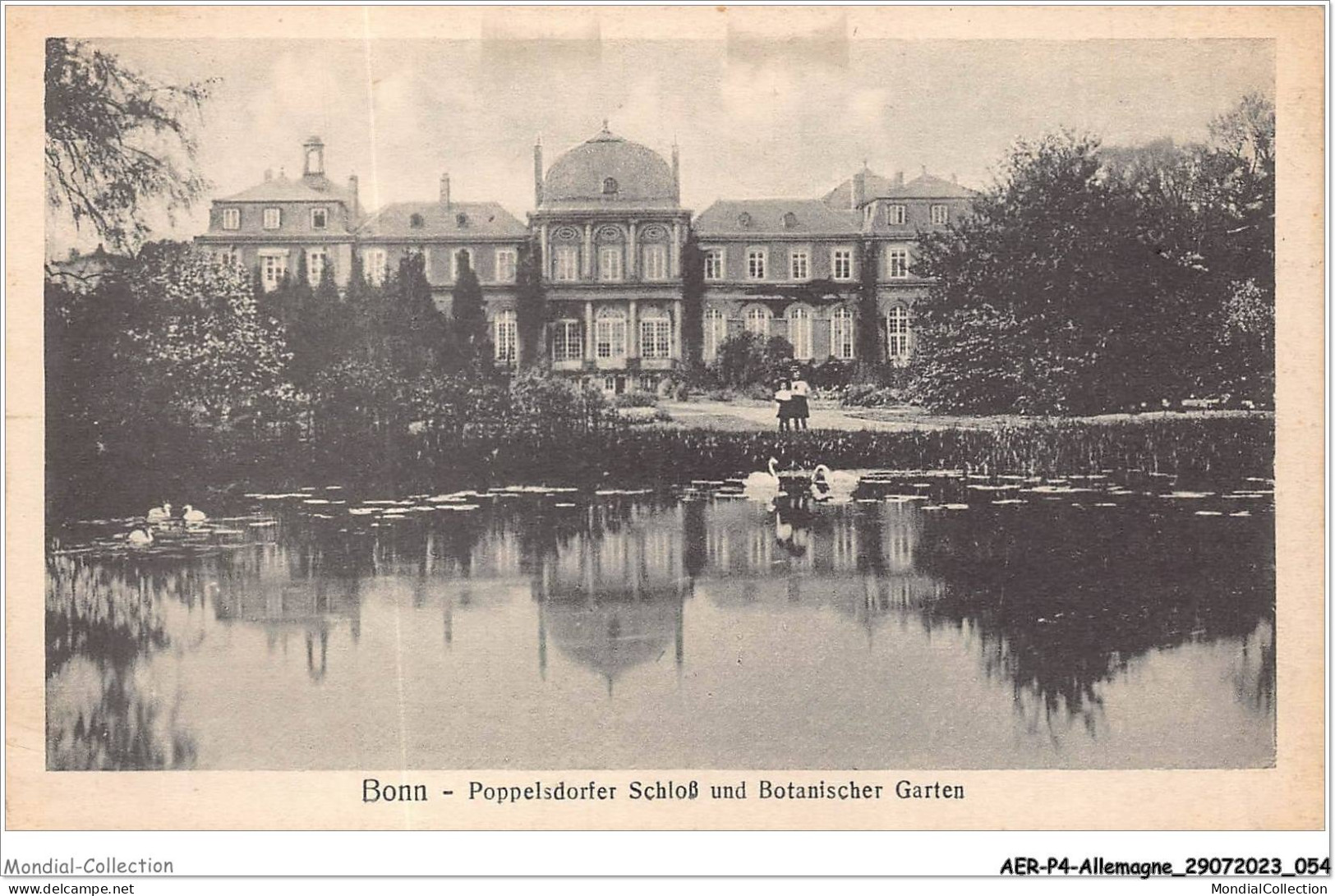 AERP4-ALLEMAGNE-0282 - BONN - Poppelsdorfer Schloss Und Botanischer Garten - Bonn