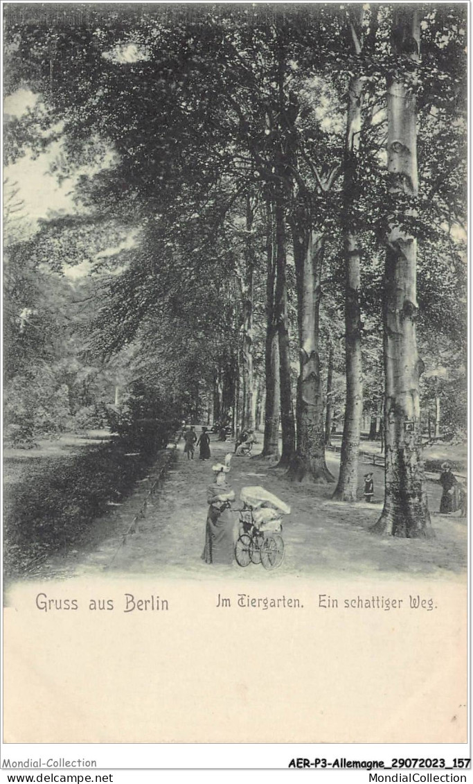 AERP3-ALLEMAGNE-0241 - GRUSS AUS BERLIN - Jm Tiergarten - Ein Schattiger Weg - Dierentuin