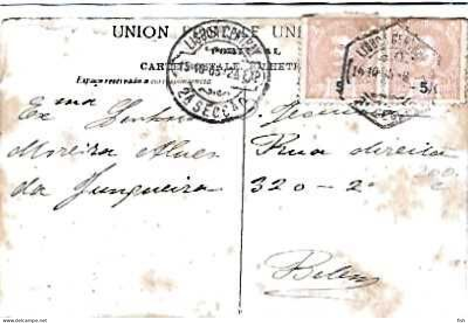 Portugal & Marcofilia, Lisboa, O Cedro Caramanchão Na Praça Do Príncipe Real, Belém 1905 (951) - Lettres & Documents