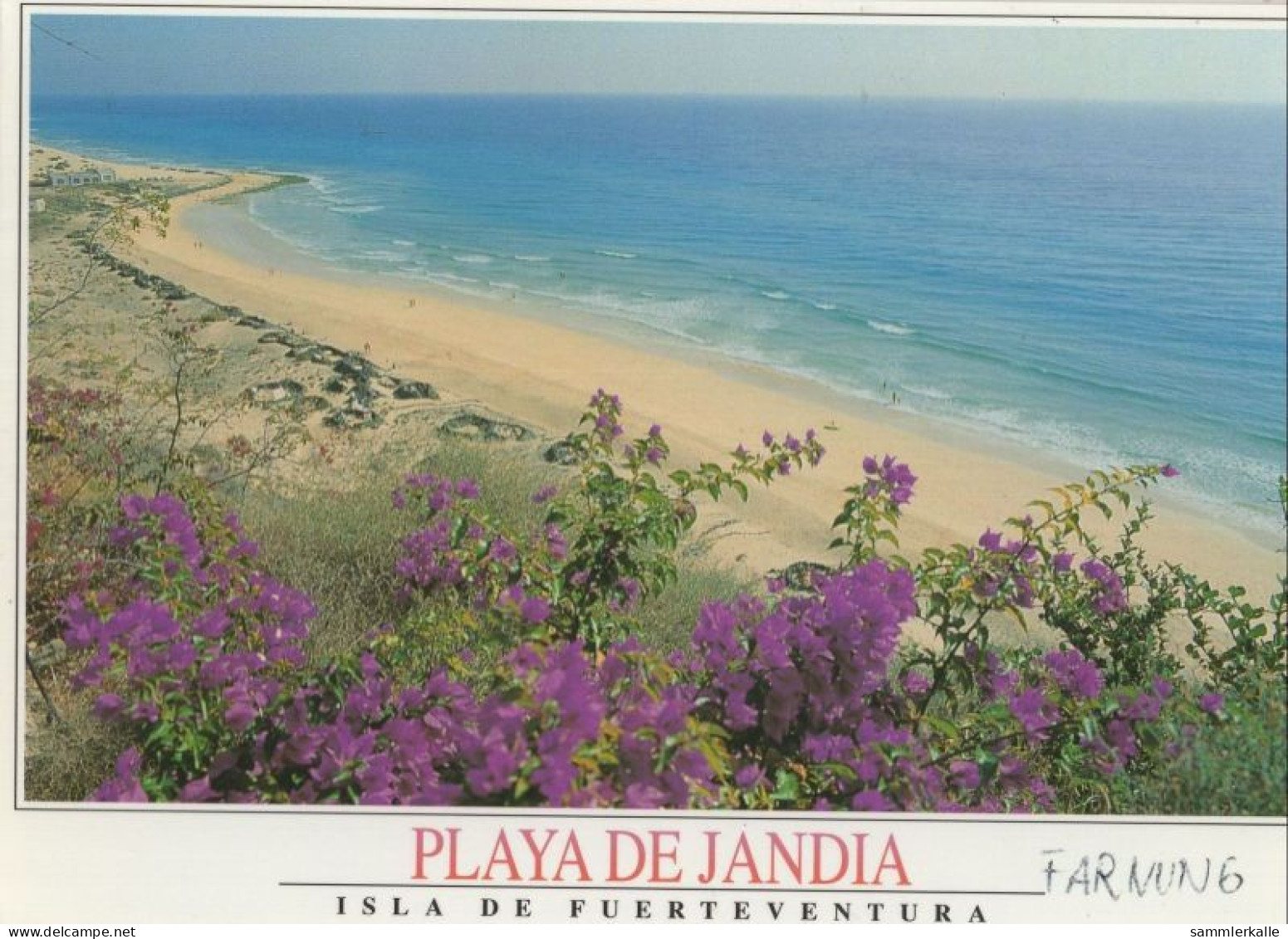 133159 - Jandia - Spanien - Playa - Fuerteventura