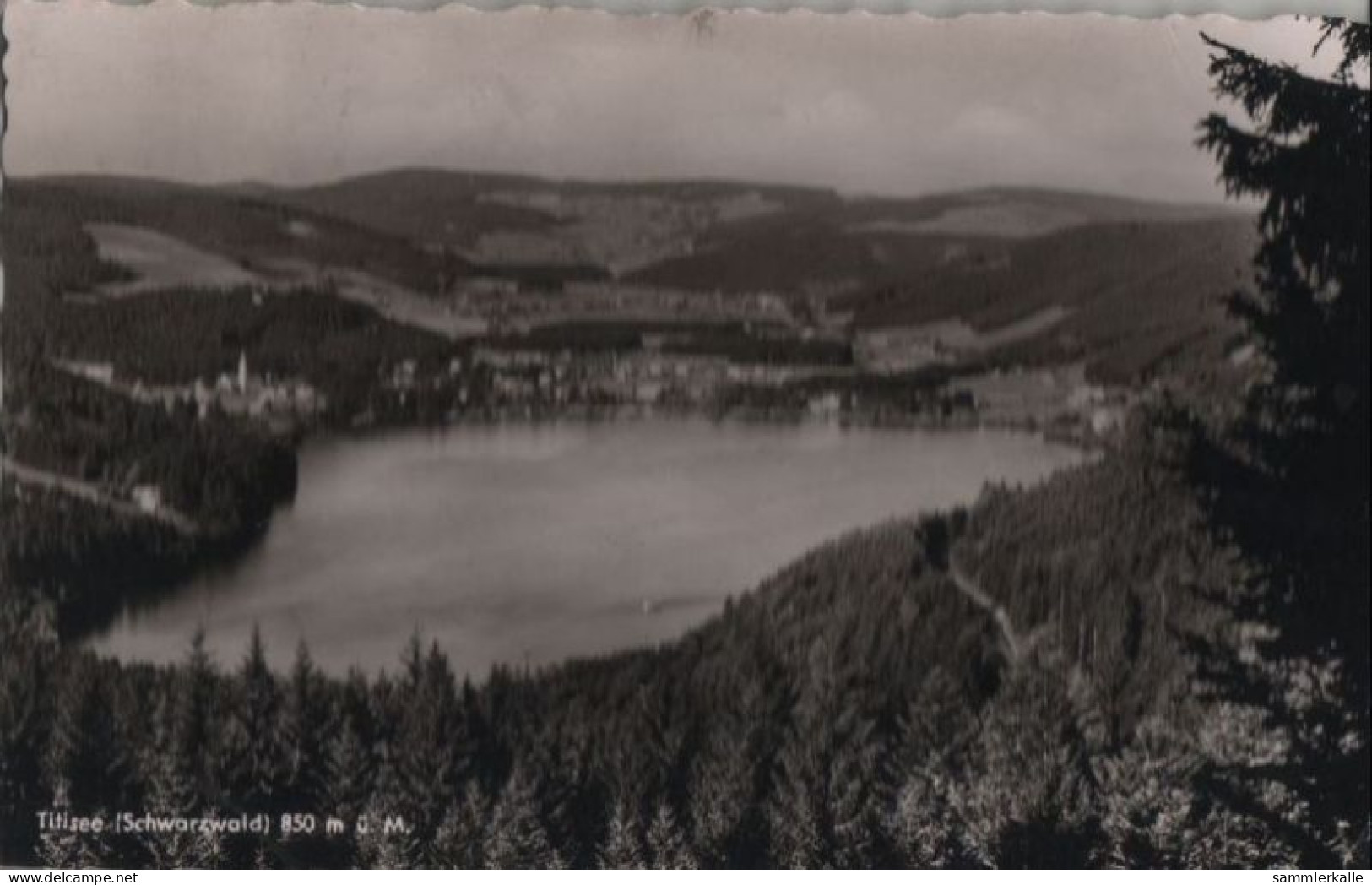 57508 - Titisee - 1956 - Titisee-Neustadt