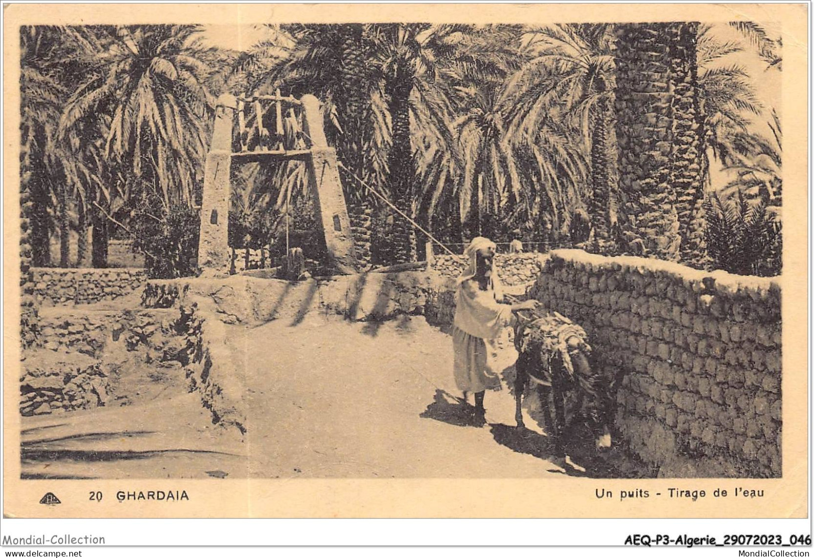AEQP3-ALGERIE-0199 - Ghardaia - Un Puits - Tirage De L'eau - Ghardaïa