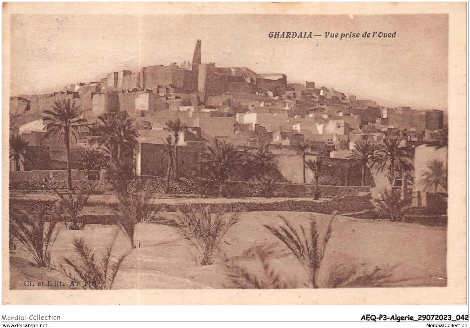 AEQP3-ALGERIE-0197 - Ghardaia - Vue Prise De L'oued - Ghardaïa