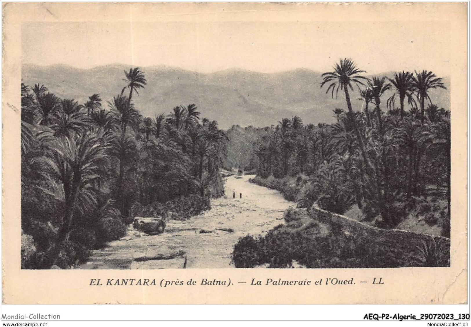 AEQP2-ALGERIE-0154 - EL-KANTARA - La Palmeraie Et L'oued - El-Oued