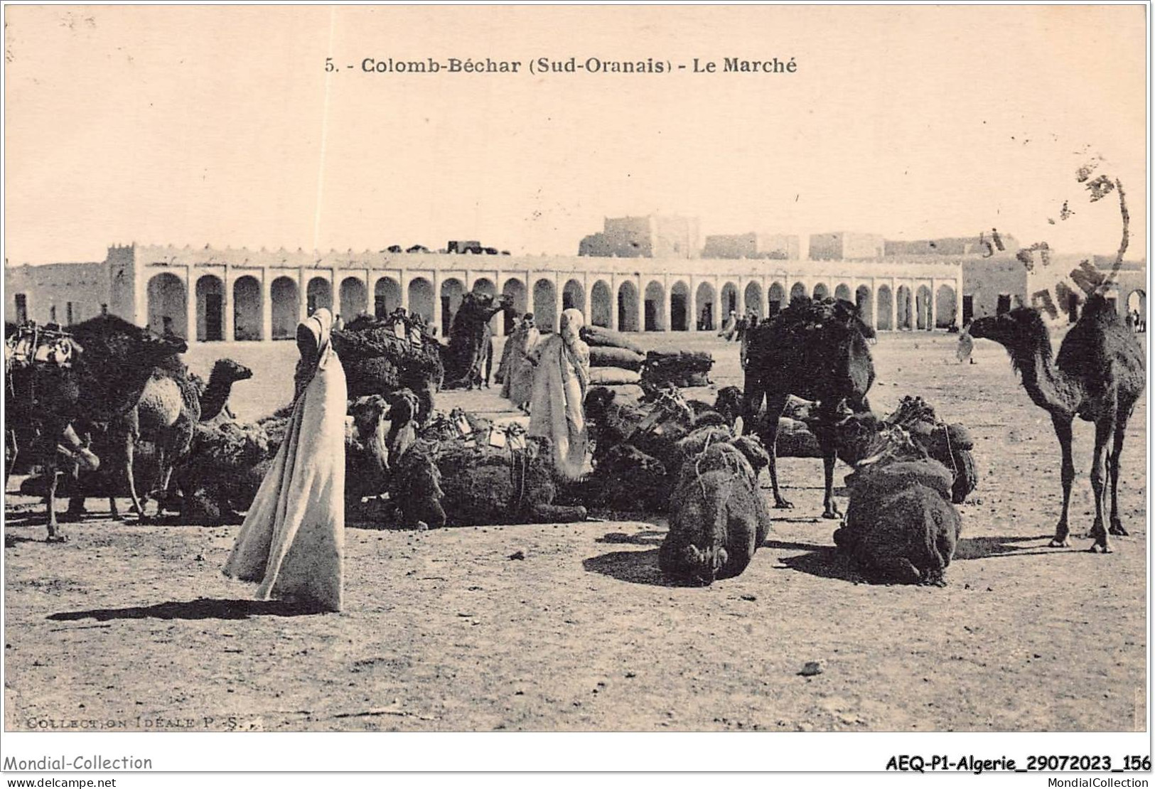 AEQP1-ALGERIE-0079 - COLOMB-BECHAR - Le Marché - Bechar (Colomb Béchar)