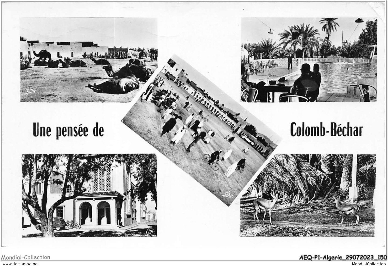 AEQP1-ALGERIE-0076 - Une Pensée De COLOMB-BECHAR - Bechar (Colomb Béchar)