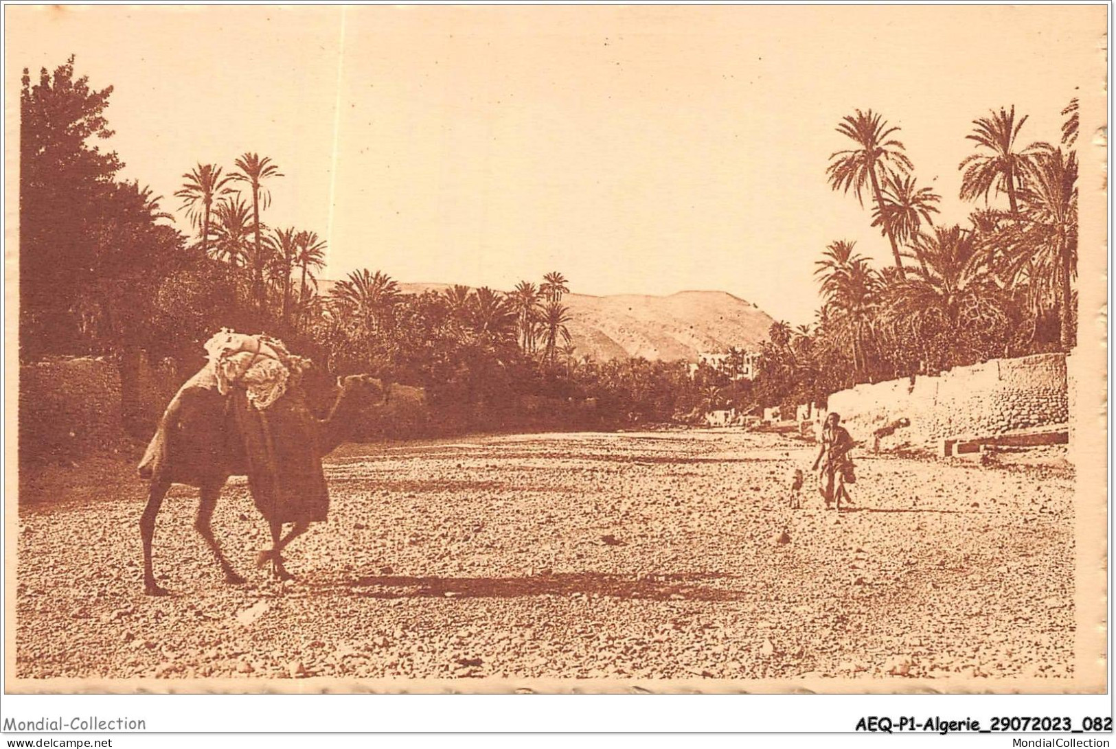 AEQP1-ALGERIE-0042 - BOU-SAADA - Dans L'oued - El-Oued