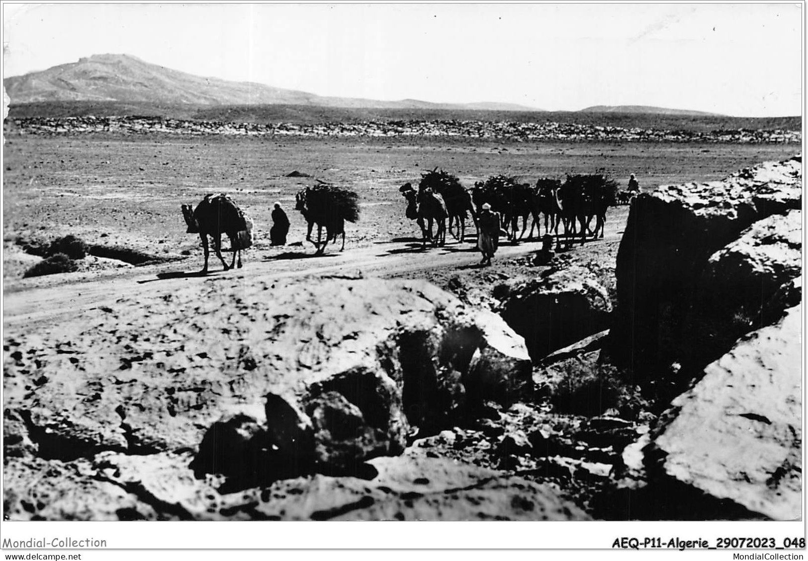 AEQP11-ALGERIE-0953 - Collection - Sahara - Caravane - Collezioni E Lotti