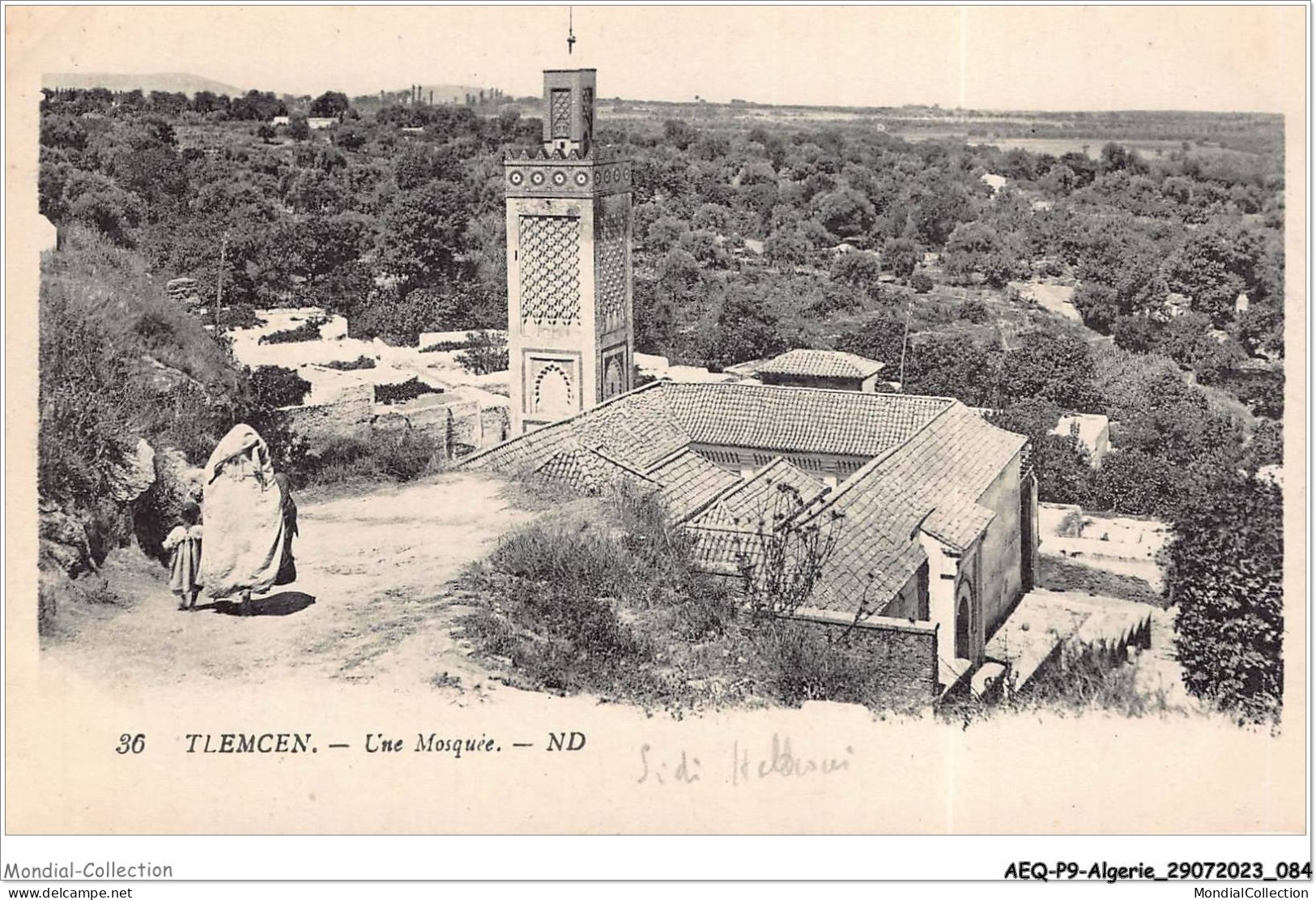 AEQP9-ALGERIE-0787 - Tlemcen - Une Mosquée - Tlemcen