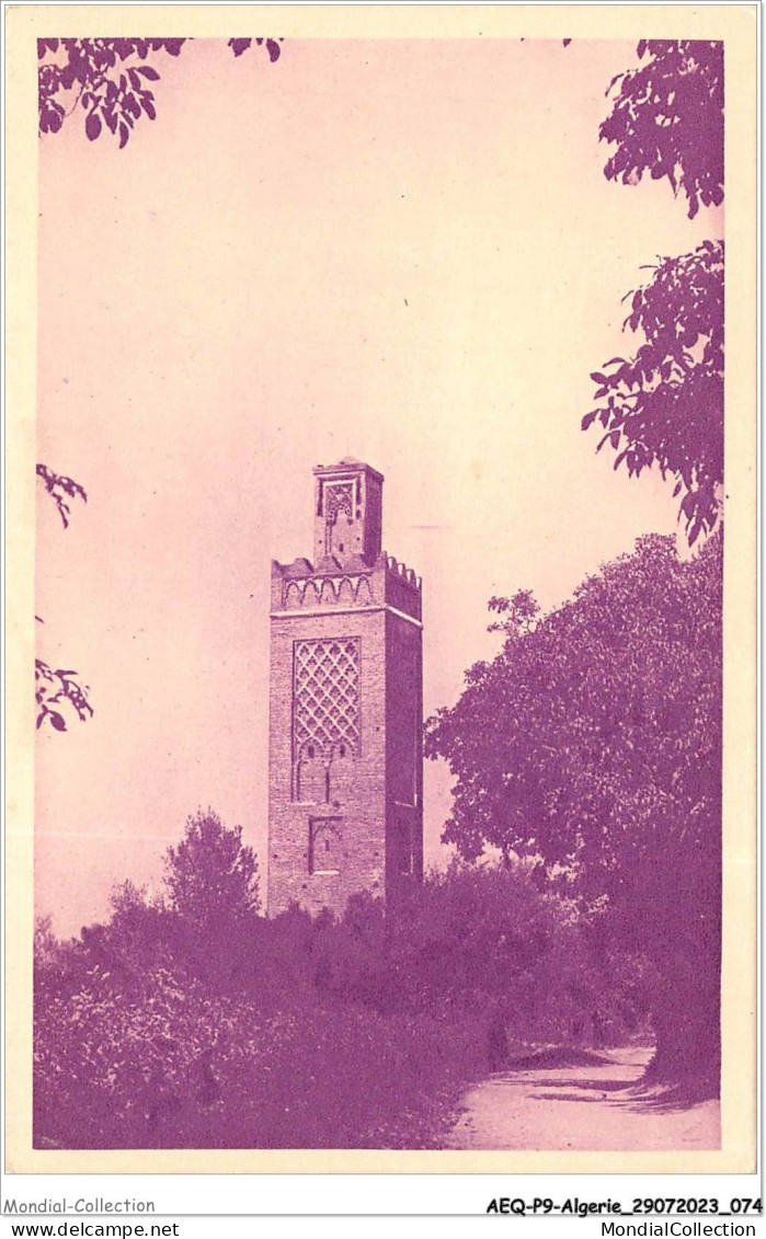 AEQP9-ALGERIE-0782 - Tlemcen - Minaret D'agadir - Tlemcen