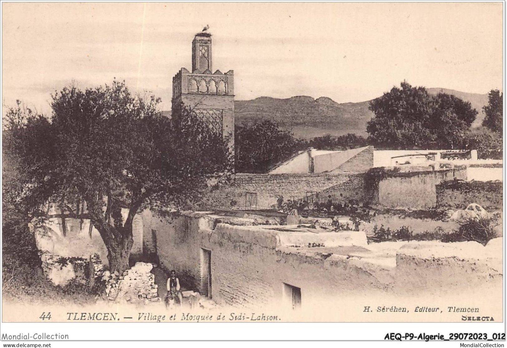AEQP9-ALGERIE-0751 - Tlemcen - Village Et Mosquée De Sidi-lahson - Tlemcen