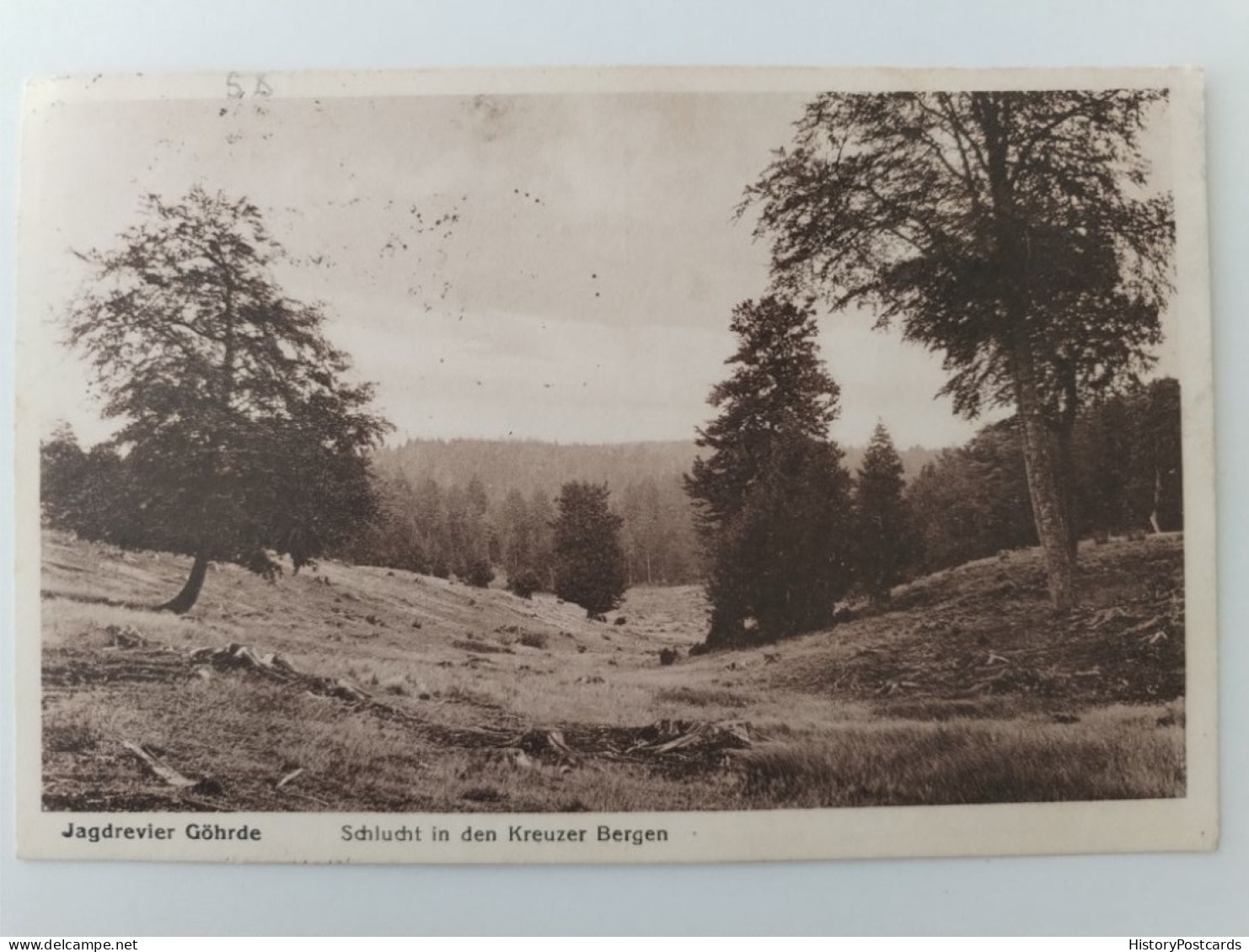 Jagdrevier Göhrde, Schlucht In Den Kreuzer Bergen, 1929 - Lüchow