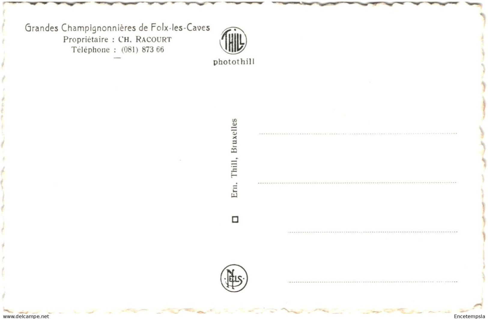 CPA Carte Postale Belgique Folx-les-Caves Champignonnière Retour De La Cueillette    VM79658 - Orp-Jauche