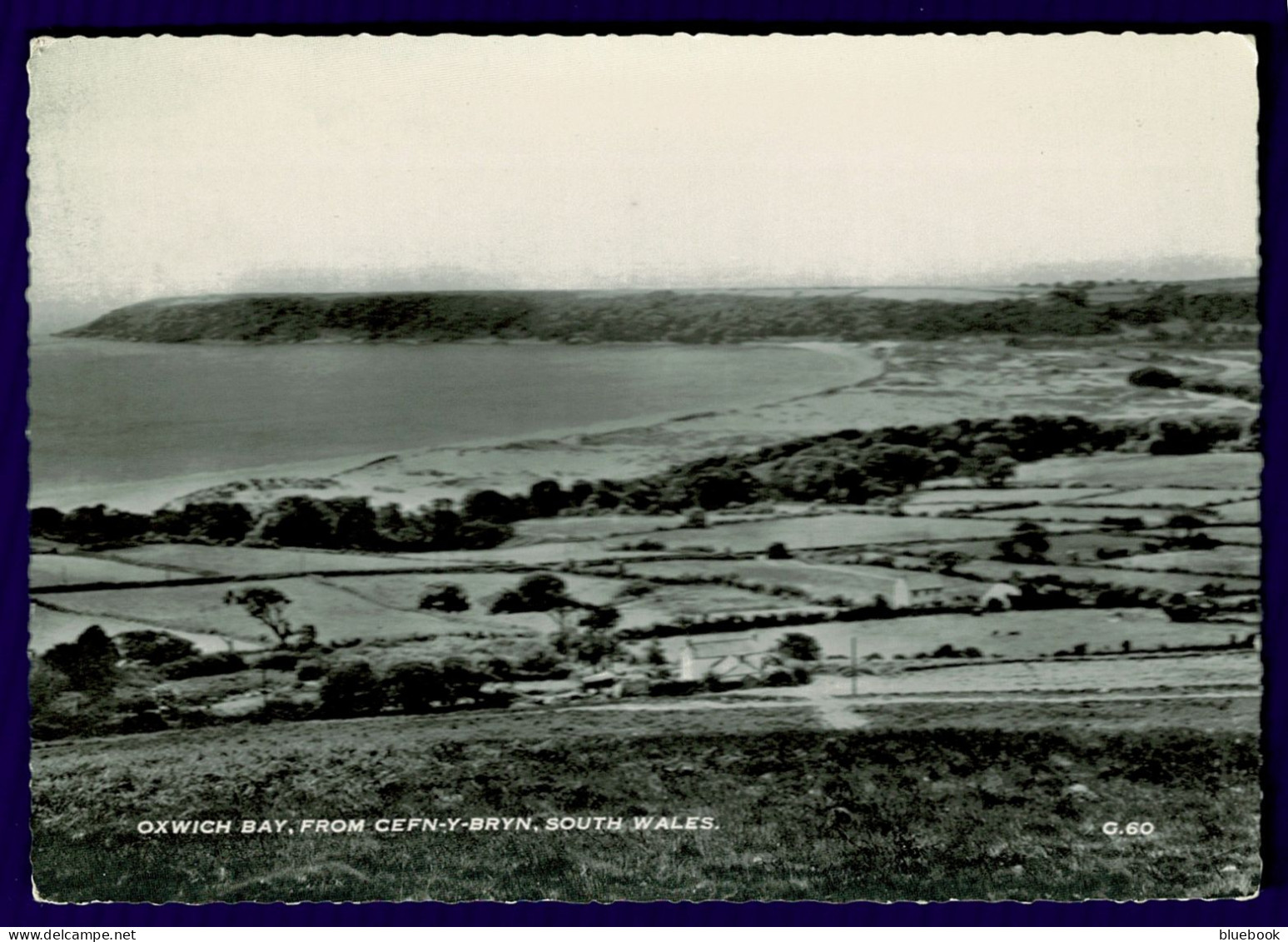 Ref 1642 - Photo Postcard - Oxwich Bay From Cefn-Y-Bryn Gower - Glamorgan Wales - Glamorgan