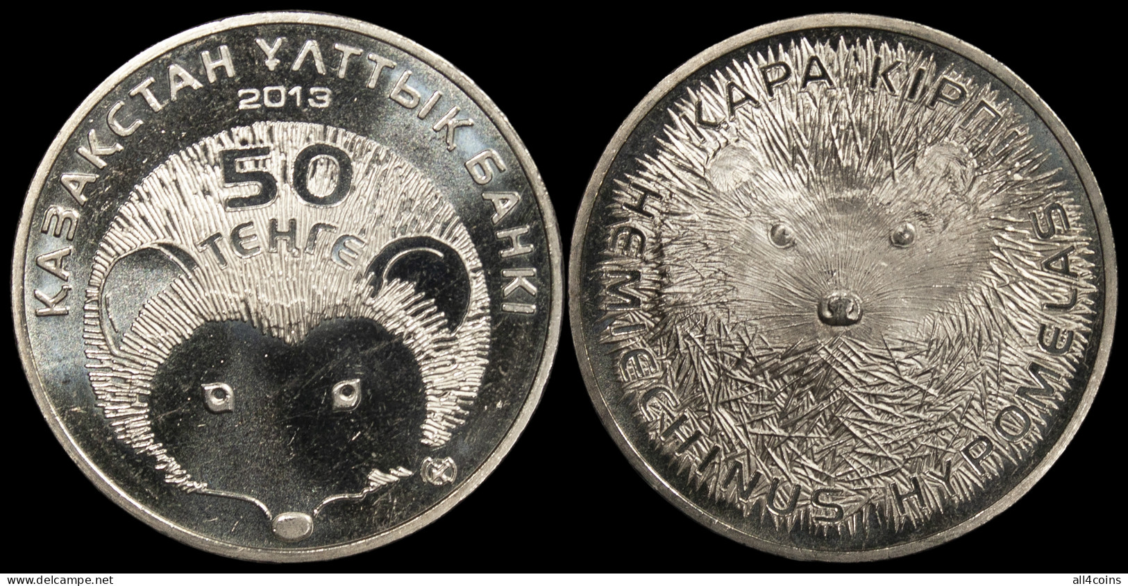 Kazakhstan 50 Tenge. 2013 (Coin KM#NL. Unc) Hedgehog (Hemiechinus Hypomelas) - Kasachstan