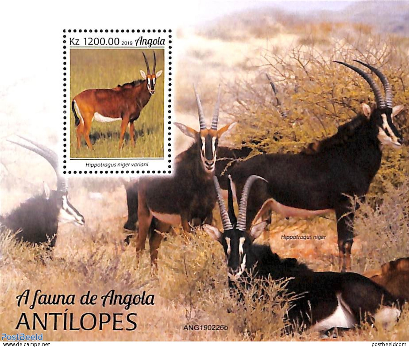 Angola 2019 Antilopes S/s, Mint NH, Nature - Animals (others & Mixed) - Wild Mammals - Angola