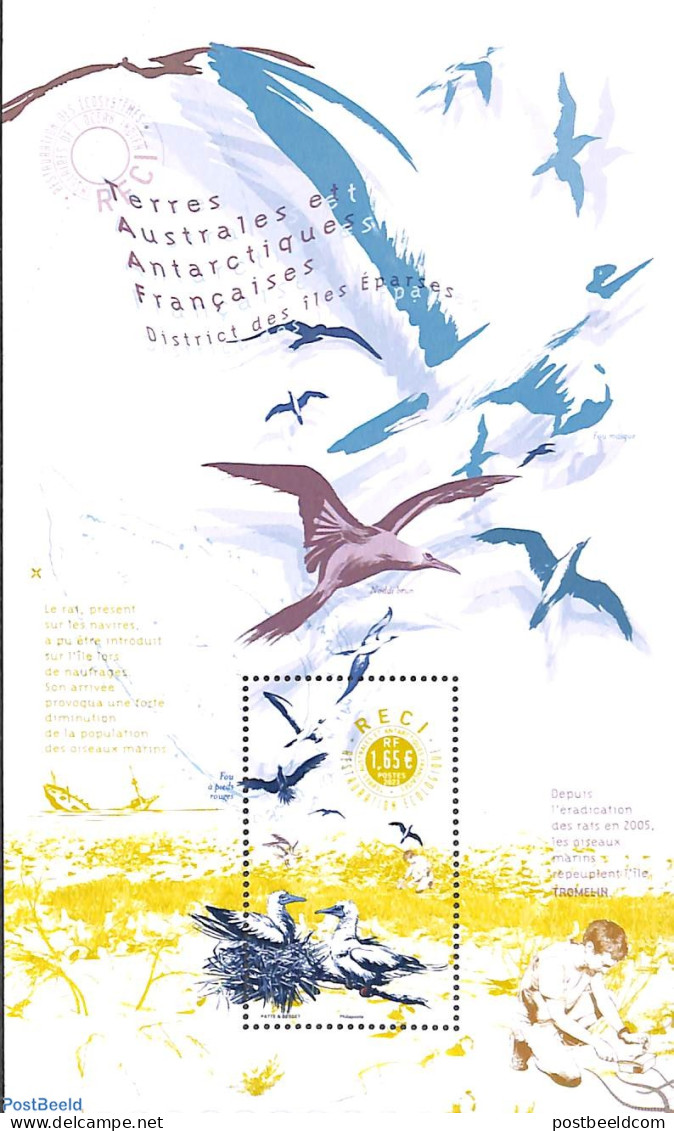 French Antarctic Territory 2023 RECI S/s, Mint NH, Nature - Birds - Ungebraucht