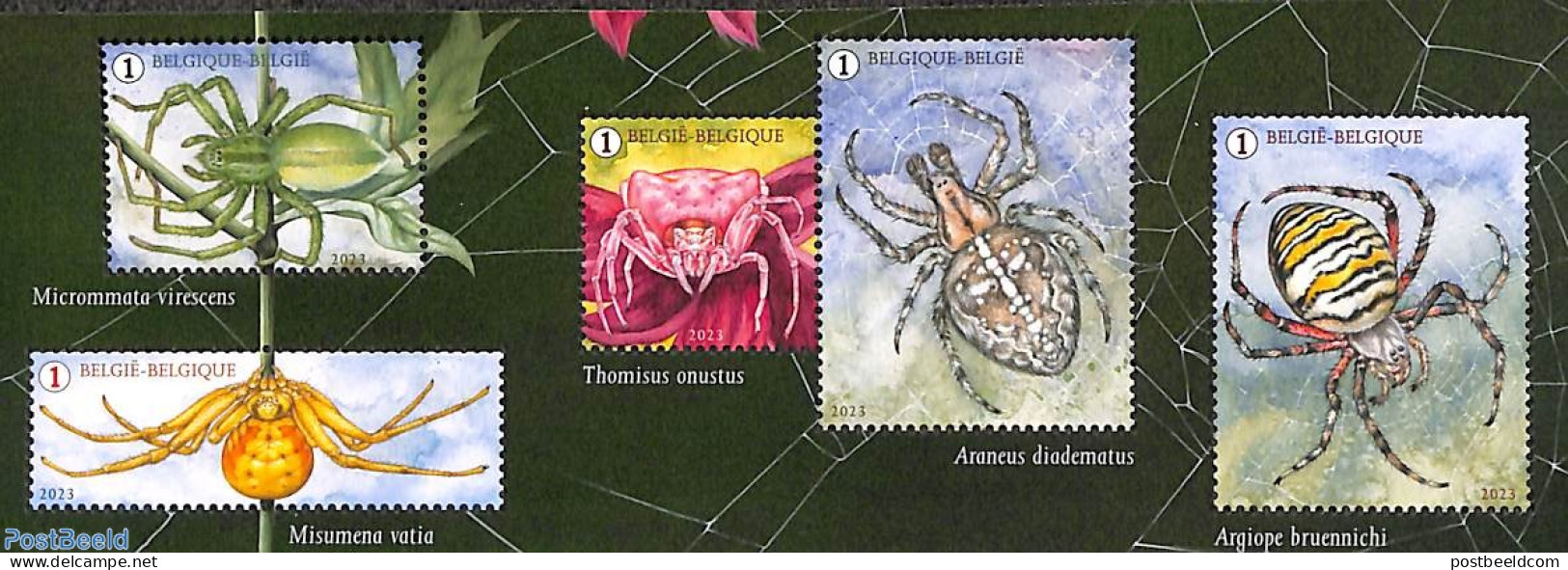 Belgium 2023 Splendor Spiders 5v, Mint NH, Nature - Animals (others & Mixed) - Neufs